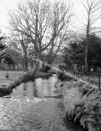 STREAM AT MALAHIDE